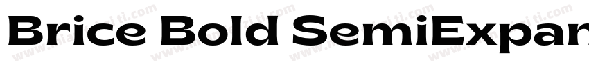Brice Bold SemiExpanded字体转换